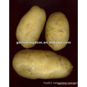 Sell 2012 new crop potato